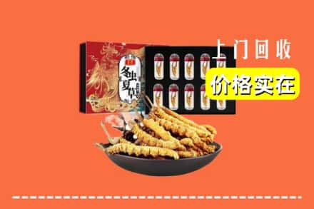 兰州市七里河回收冬虫夏草